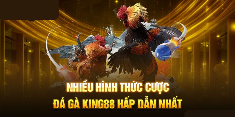 Các hình thức thi đấu đá gà King88 hấp dẫn