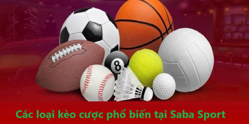 Các loại kèo cược phổ biến tại Saba sport cho hội viên lựa chọn