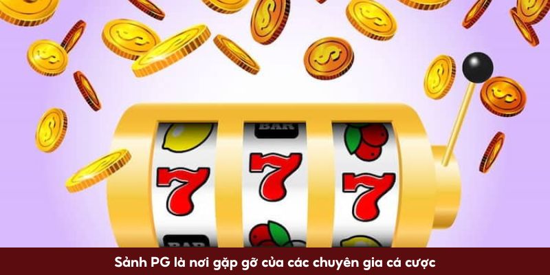 Sảnh PG là nơi gặp gỡ của các chuyên gia cá cược